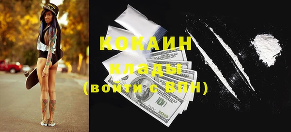 ГАЛЛЮЦИНОГЕННЫЕ ГРИБЫ Алексин