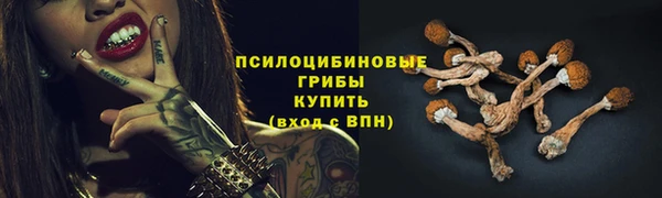 первитин Алексеевка