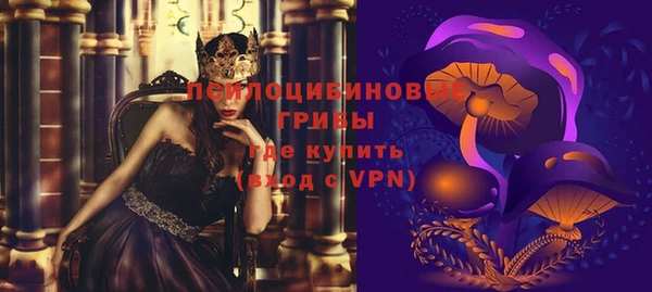 ГАЛЛЮЦИНОГЕННЫЕ ГРИБЫ Алексин
