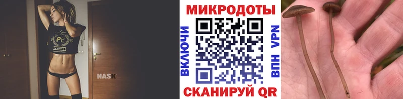 Галлюциногенные грибы прущие грибы  где продают наркотики  МЕГА как зайти  Усть-Джегута 